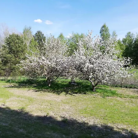 Przystanek Kozia Gora