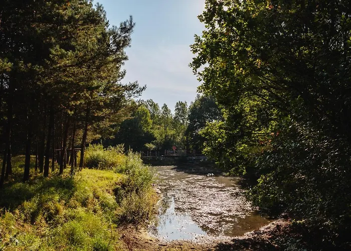 Przystanek Daire Kozia Gora