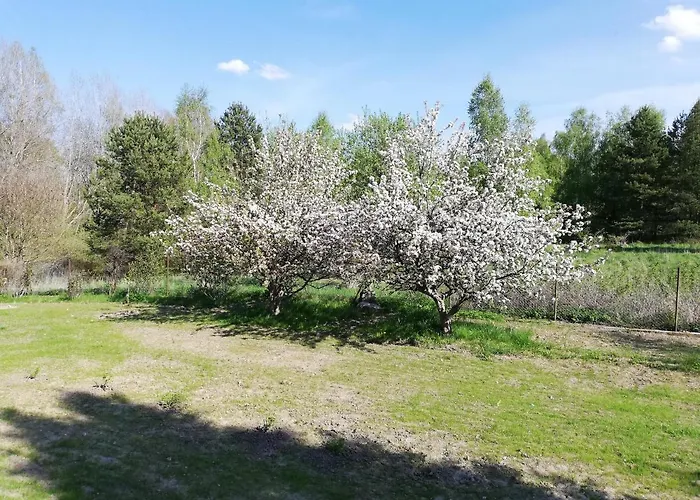 Przystanek Kozia Gora